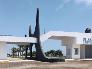 Foto 1 de Venta De Terreno En Flamencos Condominio & Resort – Exclusividad Y Naturaleza En Perfecta Armonía ✨🌿