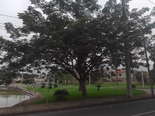 Foto 2 de Terreno en Terranostra esta listo para la compra ✅