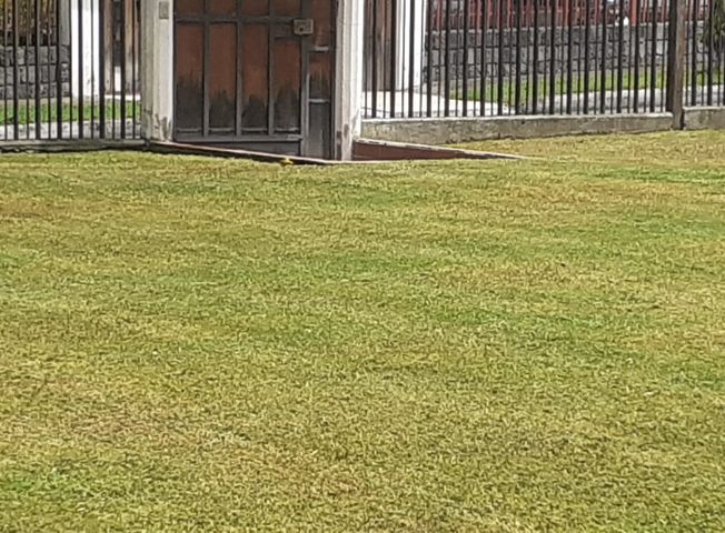place photo 38