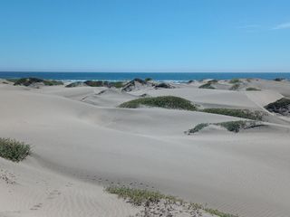 Foto 6 de Puerto Chicama frente al mar 21 hectáreas