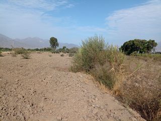 Foto 4 de Laredo, REMATE 2 Hectáreas.