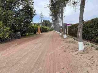 Foto 5 de TERRENO EN VENTA EN EL OASIS DE SAN ANDRES