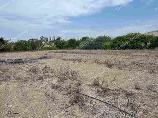 Foto 6 de TERRENO EN VENTA EN EL OASIS DE SAN ANDRES
