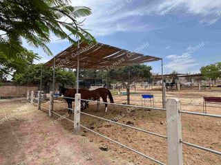 Foto 10 de TERRENO EN VENTA EN EL OASIS DE SAN ANDRES