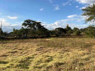 Foto 3 de terreno en venta