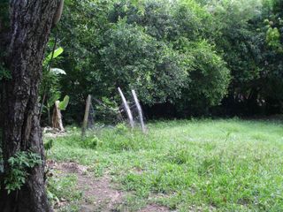 Foto 2 de MAGNÍFICO LOTE EN VENTA