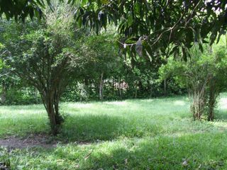 Foto 11 de MAGNÍFICO LOTE EN VENTA