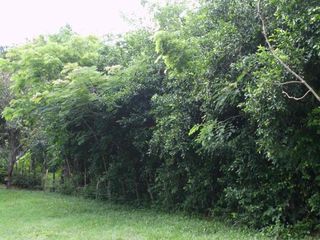 Foto 5 de MAGNÍFICO LOTE EN VENTA