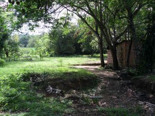 Foto 8 de MAGNÍFICO LOTE EN VENTA
