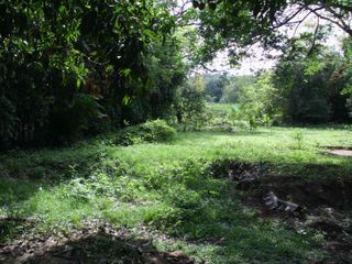 Foto 9 de MAGNÍFICO LOTE EN VENTA
