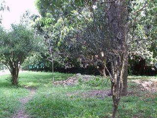 Foto 13 de MAGNÍFICO LOTE EN VENTA