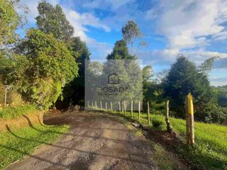 Foto 28 de ARRIENDO CASA CAMPESTRE CIRCASIA QUINDIO