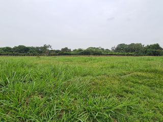 Foto 14 de LOTE VENTA AREA 22905 M2 PARQUE SUR VILLA RICA CAUCA