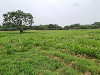 Foto 2 de LOTE VENTA AREA 22905 M2 PARQUE SUR VILLA RICA CAUCA