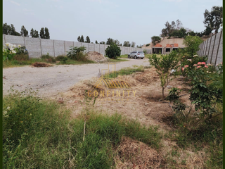 Foto 15 de SE VENDE CASA DE CAMPO DE 2000M2 EN CERRO PIETRO - SUBTANJALLA - ICA