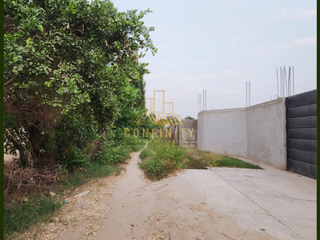 Foto 17 de SE VENDE CASA DE CAMPO DE 2000M2 EN CERRO PIETRO - SUBTANJALLA - ICA