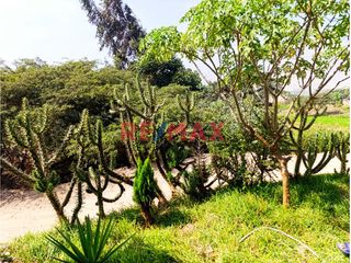 Foto 10 de Venta De Terreno Para Construir Tu Casa De Campo En Cerro Blanco Parte Alta Cerca A La Carretera Principal Con Un Area De 605.75 Mts2, A Un Precio Muy
