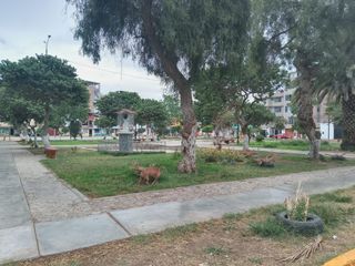 Foto 2 de VENTA DE TERRENO EN URB COVICORTI FRENTE A PARQUE