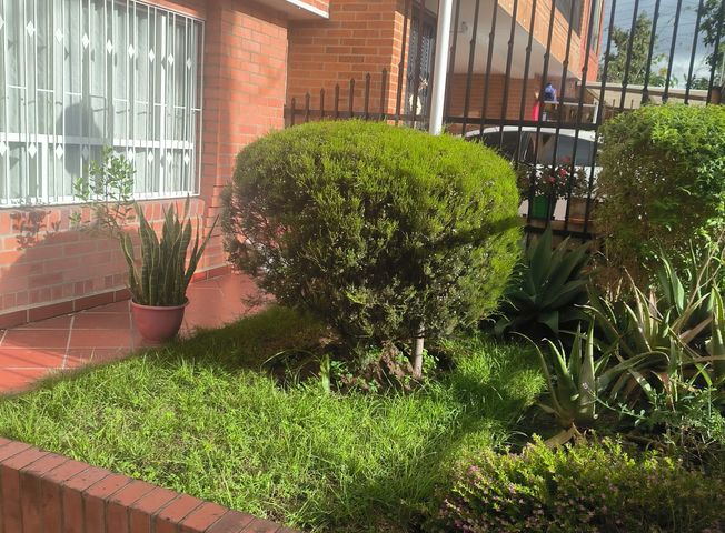 place photo 13