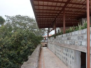 Foto 14 de CASA COMERCIAL EN RENTA CAPELO