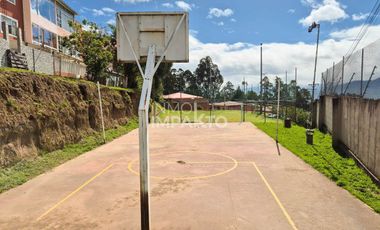 place photo 41