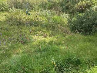 Foto 8 de TERRENO EN VENTA SECTOR PONCIANO ALTO NORTE DE QUITO