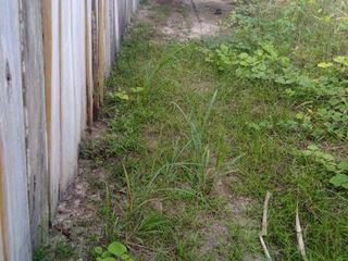 Foto 2 de DE OCASIÓN!!! TERRENO EN VENTA - CARRETERA IQUITOS NAUTA KM29
