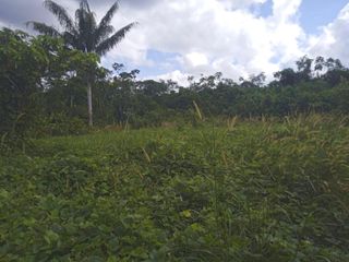 Foto 4 de DE OCASIÓN!!! TERRENO EN VENTA - CARRETERA IQUITOS NAUTA KM29