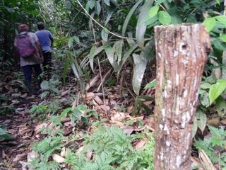 Foto 6 de DE OCASIÓN!!! TERRENO EN VENTA - CARRETERA IQUITOS NAUTA KM29