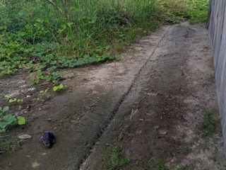 Foto 7 de DE OCASIÓN!!! TERRENO EN VENTA - CARRETERA IQUITOS NAUTA KM29