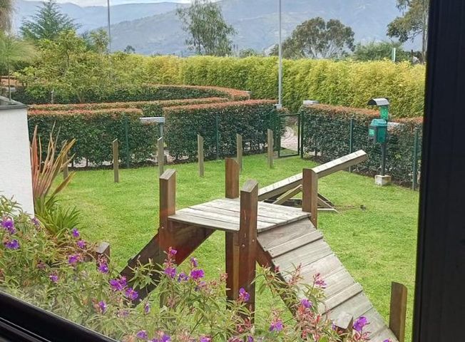 place photo 34