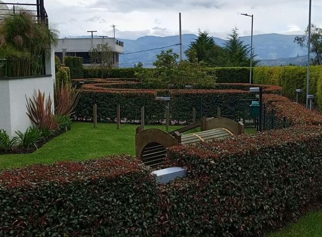 place photo 36