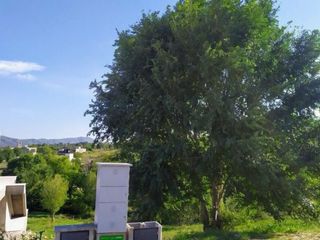 Foto 5 de VENTA LOTE COUNTRY ALTOS DE CARLOS PAZ