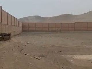Foto 5 de Alquiler de local  industrial cerca al Puerto de Chancay  para operador logístico