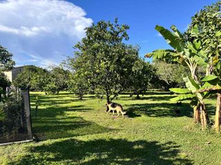Foto 2 de SE VENDE CASA CAMPESTRE