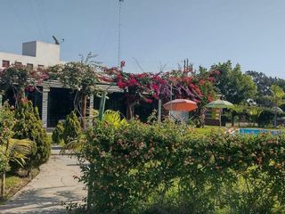Foto 4 de VENDO CASA DE CAMPO CON PISCINA Y HUERTO EN CHINCHA BAJA