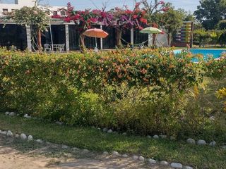 Foto 5 de VENDO CASA DE CAMPO CON PISCINA Y HUERTO EN CHINCHA BAJA