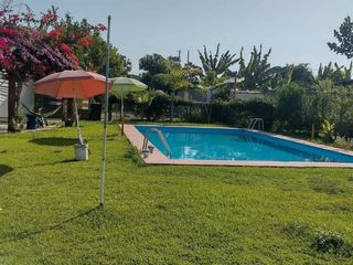 Foto 8 de VENDO CASA DE CAMPO CON PISCINA Y HUERTO EN CHINCHA BAJA