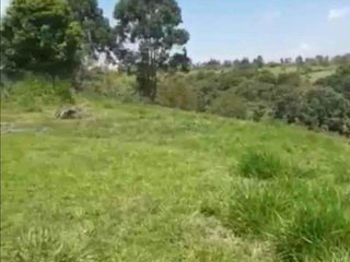 Foto 4 de UN REFUGIO NATURAL CERCA DE LA CIUDAD