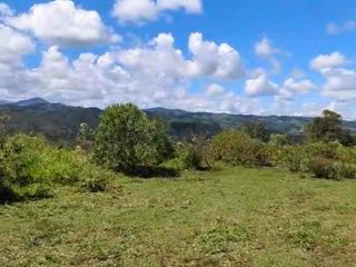 Foto 5 de UN REFUGIO NATURAL CERCA DE LA CIUDAD
