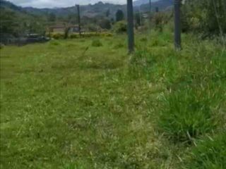 Foto 6 de UN REFUGIO NATURAL CERCA DE LA CIUDAD