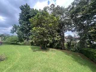 Foto 7 de SE VENDE CASA CAMPESTRE EN EL QUINDIO