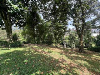 Foto 18 de SE VENDE CASA CAMPESTRE EN EL QUINDIO