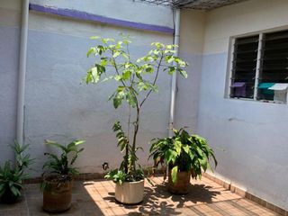 Foto 6 de A LA VENTA CASA EN BARRIO ALVERNIA 🏡🍁