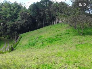 Foto 4 de LOTE CON ENCANTO NATURAL Y VISTA INIGUALABLE