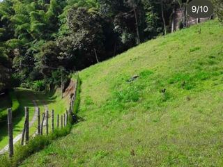 Foto 5 de LOTE CON ENCANTO NATURAL Y VISTA INIGUALABLE