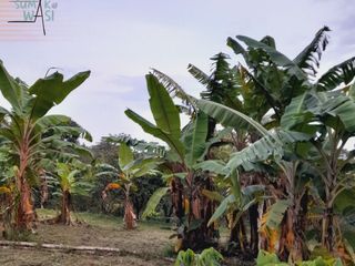 Foto 5 de 🏡 En Venta Casa de Campo en Comunidad  Quechua de Wayku -  Lamas,  Ideal para Turismo Vivencial con un Encanto Natural