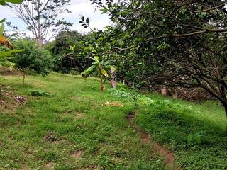 Foto 6 de 🏡 En Venta Casa de Campo en Comunidad  Quechua de Wayku -  Lamas,  Ideal para Turismo Vivencial con un Encanto Natural