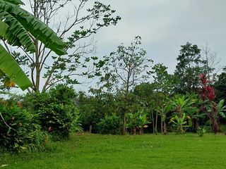 Foto 8 de 🏡 En Venta Casa de Campo en Comunidad  Quechua de Wayku -  Lamas,  Ideal para Turismo Vivencial con un Encanto Natural