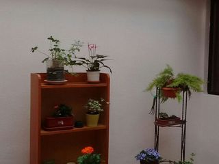 Foto 14 de DEPARTMENTO EN RENTA PRIMERA PLANTA 230 M2